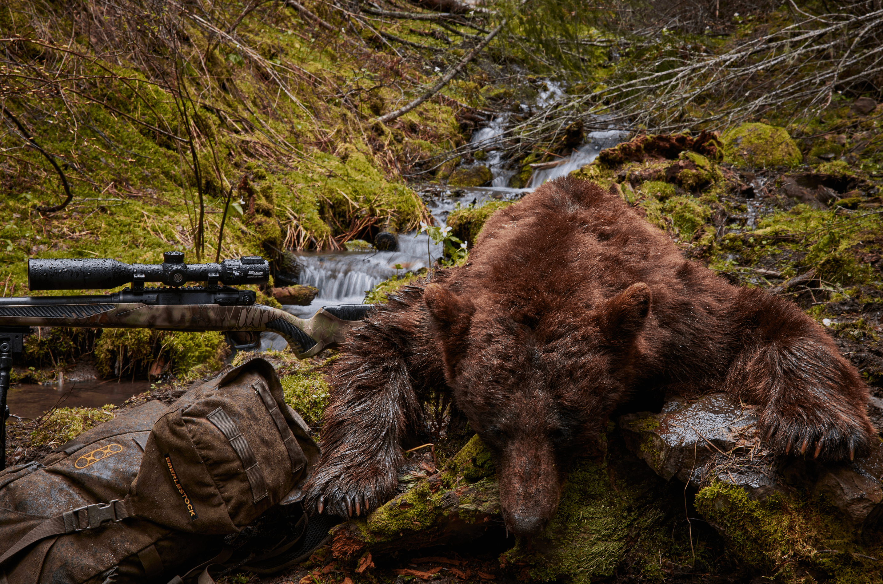 Baiting for Bear - Kryptek
