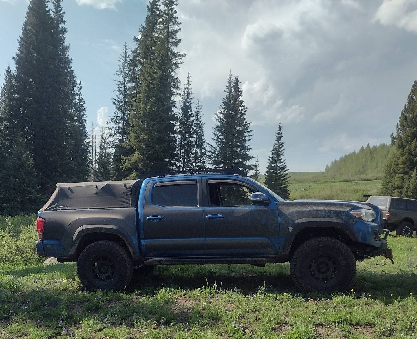 Tacoma Removable Trail Armor