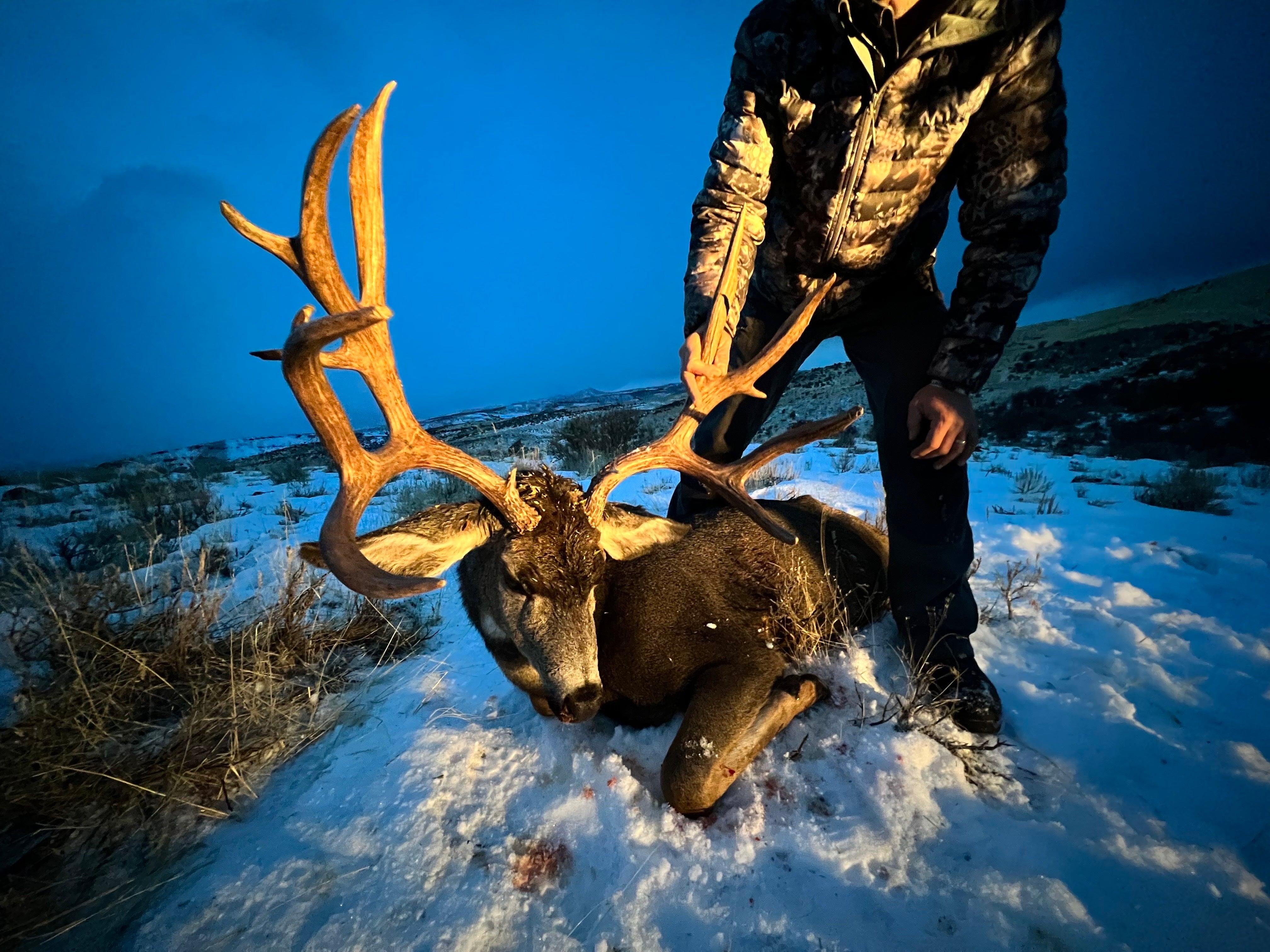 SMO Top Picks - Kryptek