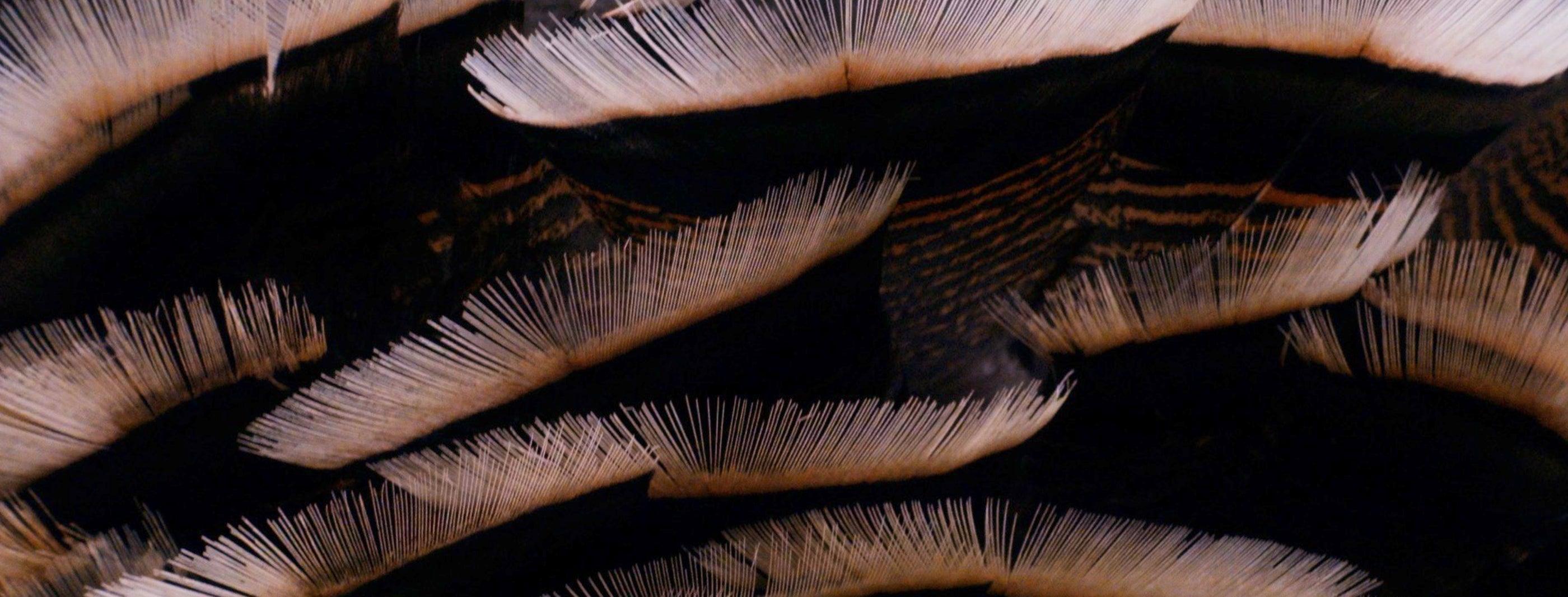 Spring Turkey Kit - Kryptek