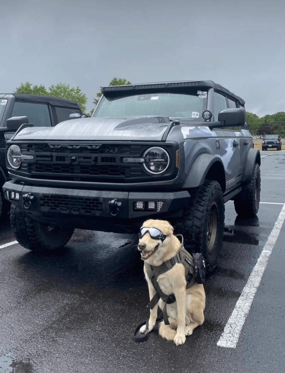 Bronco 4D Removable Trail Armor