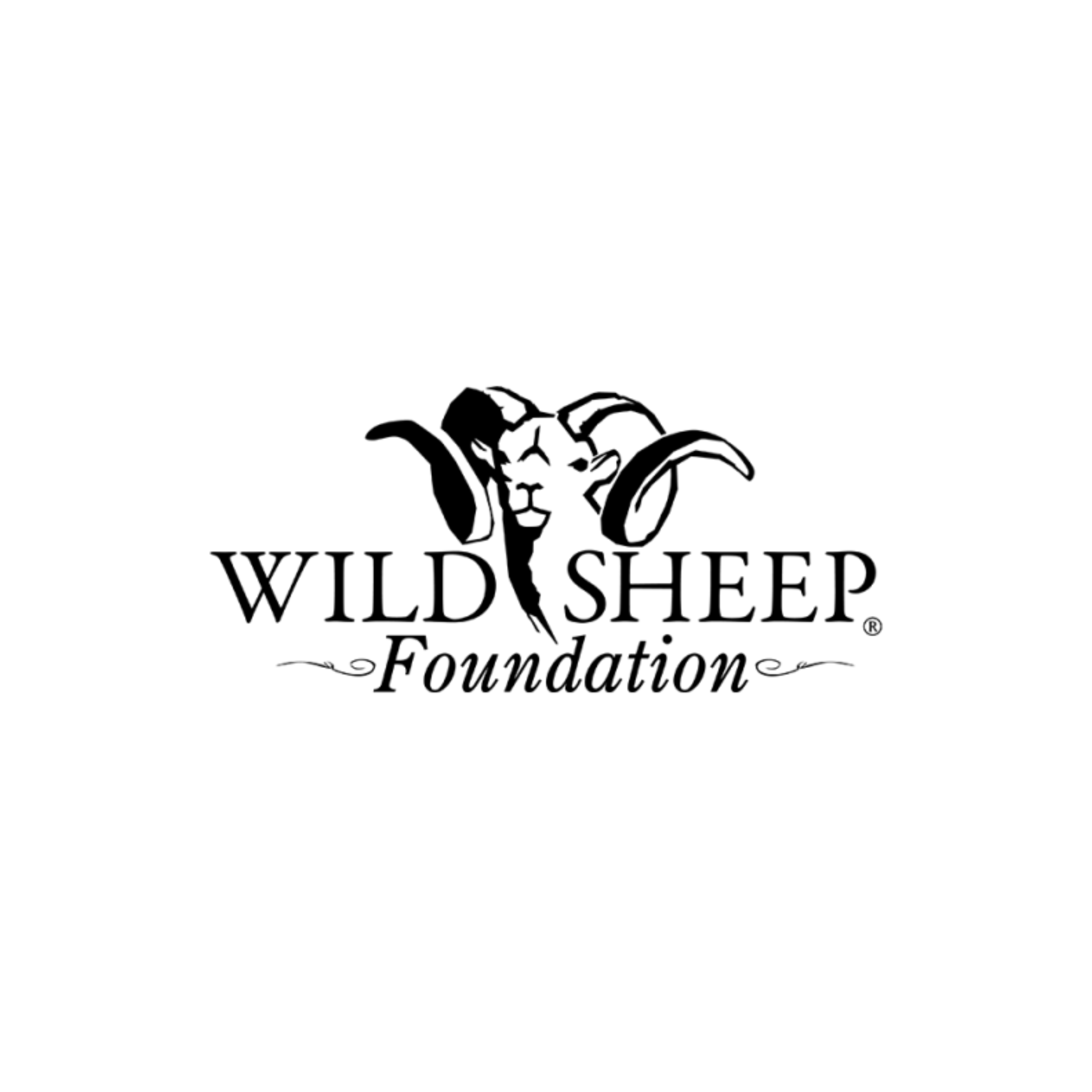 Kryptek Wild Sheep Foundation Conservation