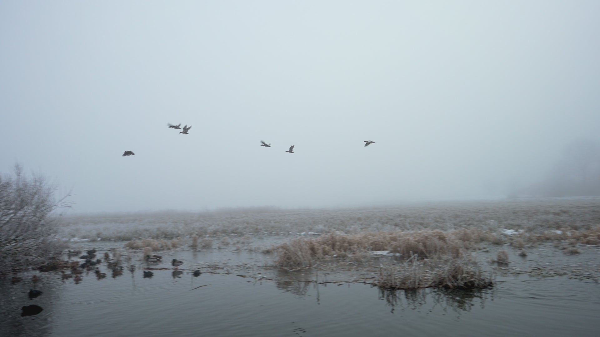 krytpek hunting waterfowl flyway gear